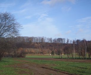 Wezemaal - 20-12-2020 (10)