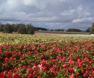 29-10-2023 - Wetteren (15)