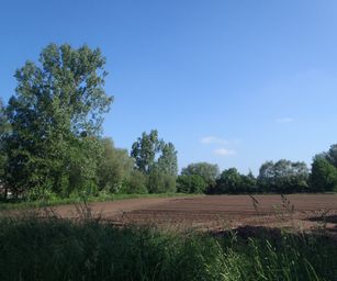 Haacht - 06-06-2021 (4)