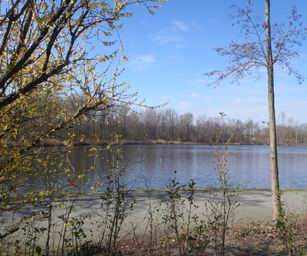 bornem - 20-03-2021 (5)