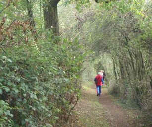 Hamoir - 11-10-2020 (11)