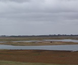 Brugge Knokke - 24-10-2020 (18)