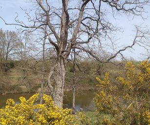 12-04-2022 - Sint-Joris (25)