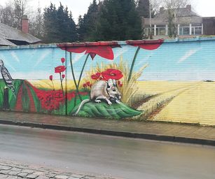 tubize - 08-03-2020 (18)