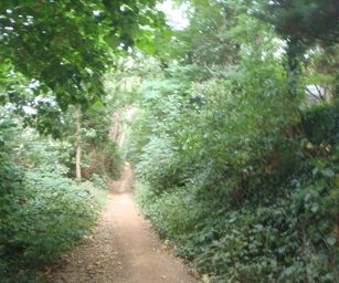 Holsbeek - 02-08-2020 (20)