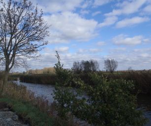 Wetteren - 31-10-2020 (14)