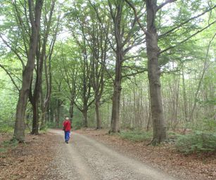 Holsbeek - 02-08-2020 (14)