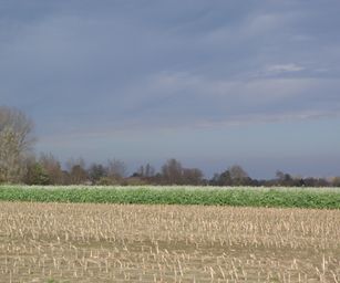 Wetteren - 31-10-2020 (38)