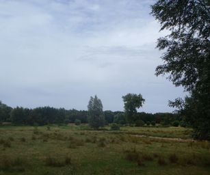 28-07-2022 Brugge 2 (15)