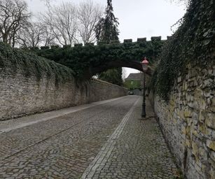 Péronnes-lez-Antoing - 01-03-2020 (9)