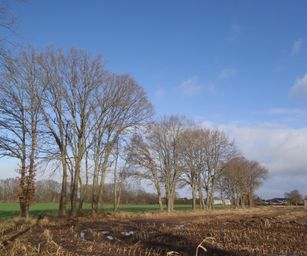 09-01-2022 - Hulsthout  (3)