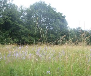 Oud Heverlee - 27-06-2021 (18)