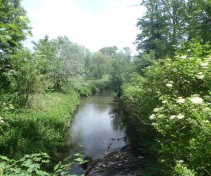 21-05-2022 Tongeren (5)