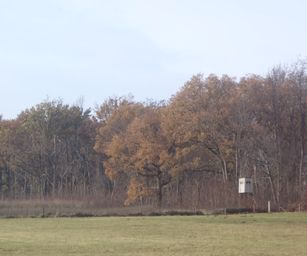 Pellenberg - 13-12-2020 (22)