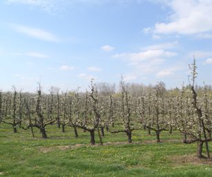 19-04-2023 - Wellen (13)