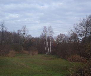 Pellenberg - 13-12-2020 (11)