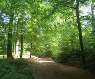 15-05-2022 Brain-le-Comte (21)
