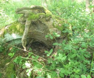 Heindonk - 13-06-2021 (20)