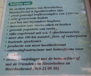Oud Heverlee - 23-07-2020 (16)