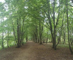 Schelle - 29-08-2021 (14)