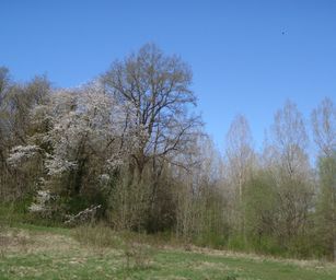 18-04-2022 - La Hulpe  (9)