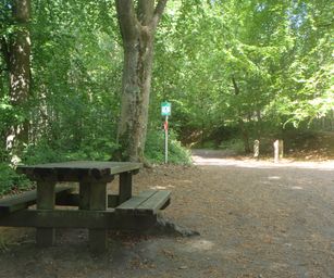 15-05-2022 Brain-le-Comte (18)
