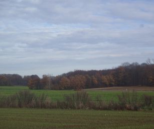 Pellenberg - 13-12-2020 (17)