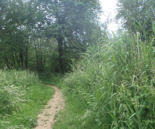 Sint-Pieters-Rode - 19-06-2021 (27)