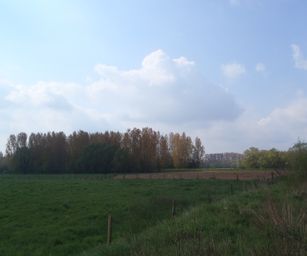 Dendermonde - 01-05-2021 (1)