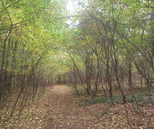 13-10-2022 Lommel (1)