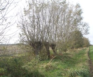 Brugge Knokke - 24-10-2020 (13)