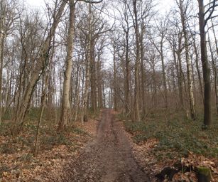 04-02-2023 - Borsbeke (9)