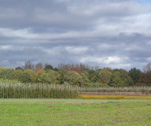 29-10-2023 - Wetteren (11)