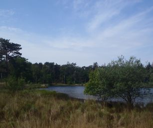 04-06-2022 Bergen-op-zoom (12)