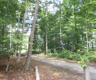Blanden - 15-08-2020 (1)