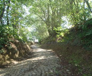 Diest  - 05-09-2020 (24)