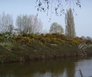 12-04-2022 - Sint-Joris (28)