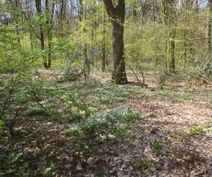 Kasterlee - 17-04-2021 (8)