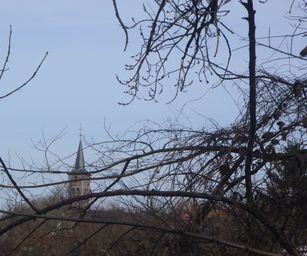 Bottelare 20-02-2021 (20)