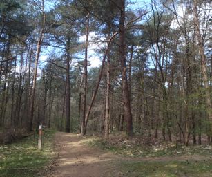 Kasterlee - 17-04-2021 (23)