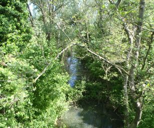 15-05-2022 Brain-le-Comte (9)
