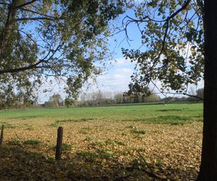 Wetteren - 31-10-2020 (18)