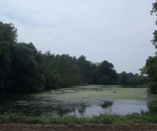 Oud Heverlee - 27-06-2021 (24)