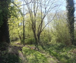 18-04-2022 - La Hulpe  (20)