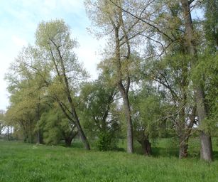 01-05-2022 - Herzele (9)