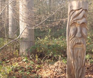 Wezemaal - 20-12-2020 (4)