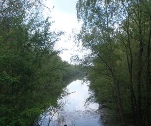 Dendermonde - 01-05-2021 (14)