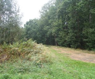 Wanze 11-09-2021 (5)