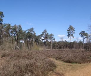 Kasterlee - 17-04-2021 (6)