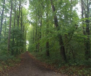 24-09-2022 Melle (7)
